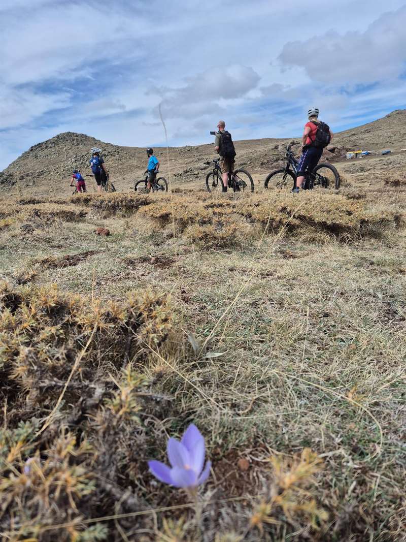Groep mountainbikers op een grasvlakte, met een paarse krokus op de voorgrond